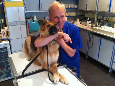 Holistyczne Centrum Leczenia Zwierząt